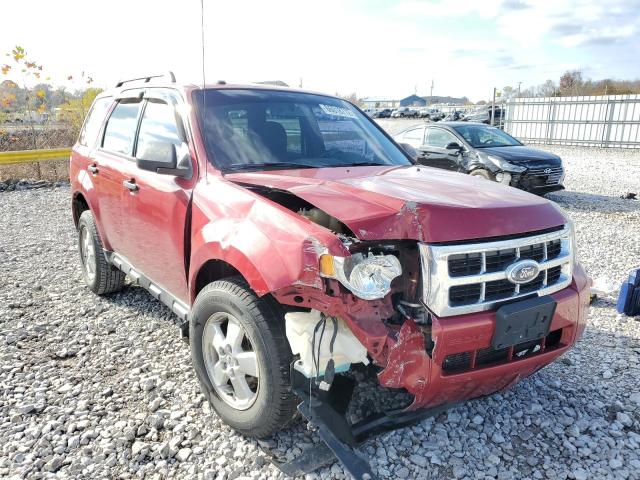 FORD ESCAPE XLT 2011 with VIN 1FMCU0DGXBKA08893 - Photo from auction