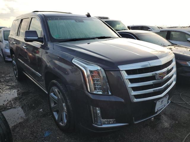 CADILLAC ESCALADE P 2016 with VIN 1GYS3CKJ5GR172399 - Photo from auction