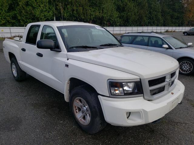 DODGE DAKOTA SXT 2009 with VIN 1D3HW38P19S799719 - Photo from auction