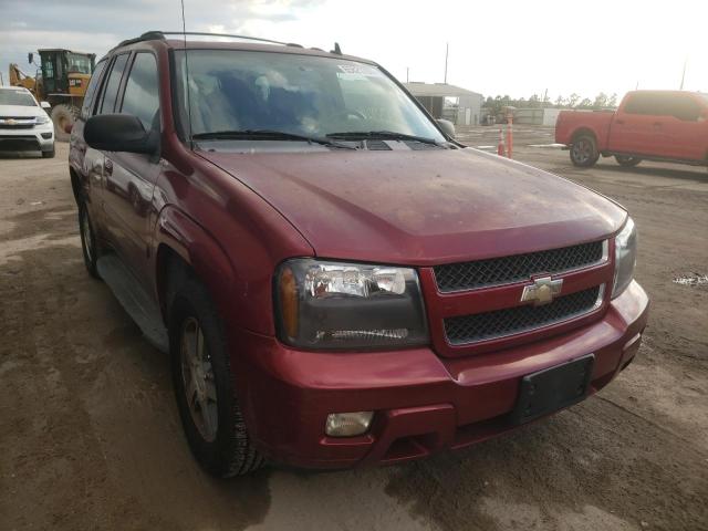CHEVROLET TRAILBLAZE 2008 with VIN 1GNDT13S582223363 - Photo from auction