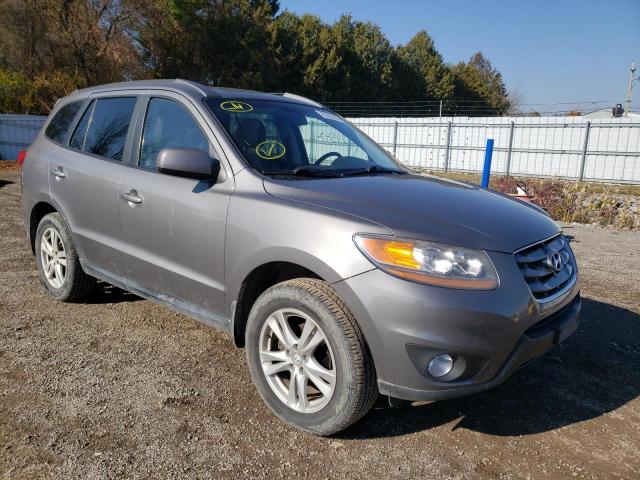 HYUNDAI SANTA FE G 2010 with VIN 5NMSG4AG2AH400716 - Photo from auction