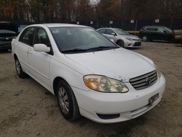TOYOTA COROLLA CE 2003 with VIN 1NXBR32E03Z040211 - Photo from auction