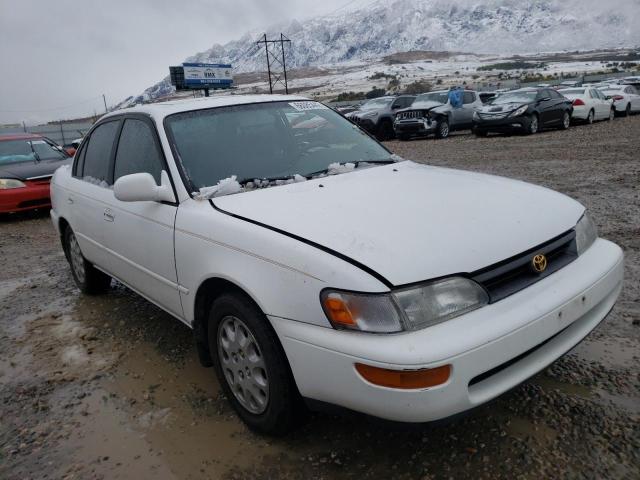 TOYOTA COROLLA LE 1995 with VIN 1NXAE00B0SZ339825 - Photo from auction