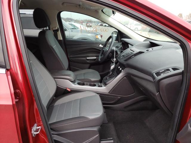 Photo 5 from auction – 2014 FORD ESCAPE SE with VIN 1FMCU0G98EUE24656