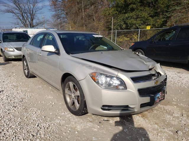 CHEVROLET MALIBU 1LT 2011 with VIN 1G1ZC5E15BF187337 - Photo from auction
