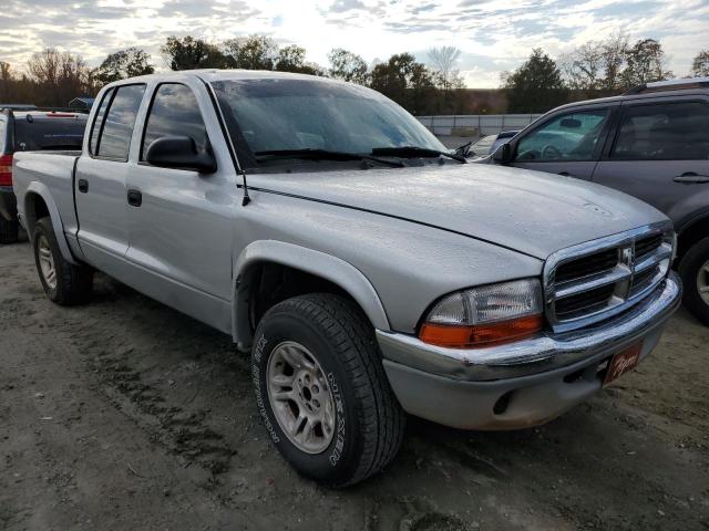 DODGE DAKOTA QUA 2003 with VIN 1D7HL48N33S249988 - Photo from auction