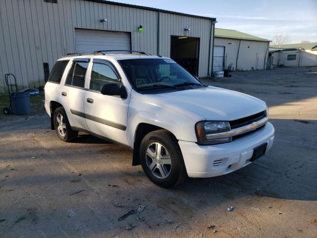 CHEVROLET TRAILBLAZE 2005 with VIN 1GNDT13S052116958 - Photo from auction