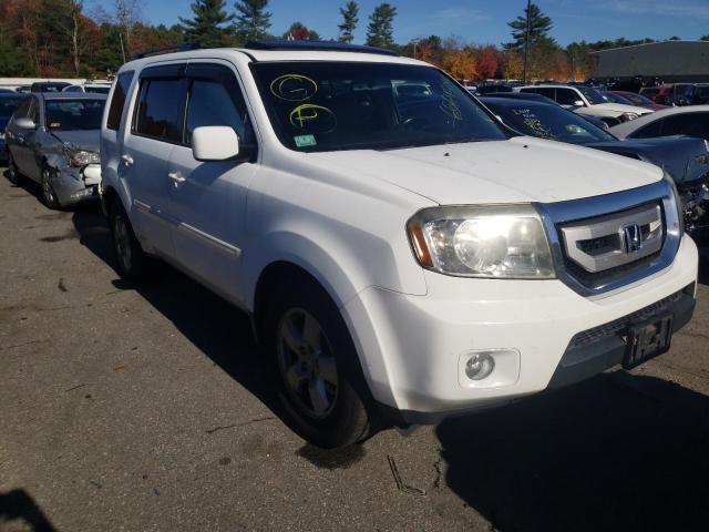 HONDA PILOT EXL 2011 with VIN 5FNYF4H57BB096187 - Photo from auction