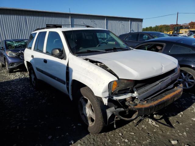 CHEVROLET TRAILBLAZE 2004 with VIN 1GNDT13S542360491 - Photo from auction