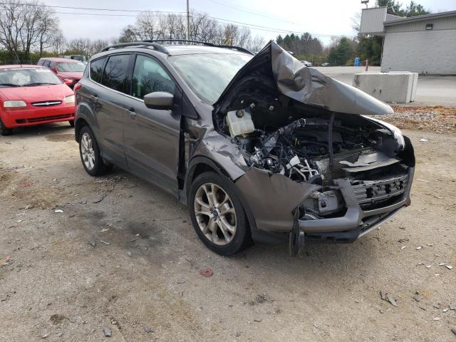FORD ESCAPE SE 2013 with VIN 1FMCU0GX9DUC76532 - Photo from auction