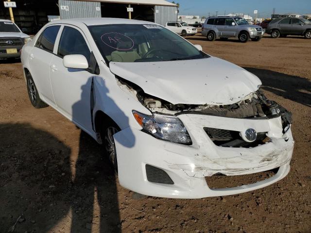 TOYOTA COROLLA BA 2009 with VIN JTDBL40E899093250 - Photo from auction