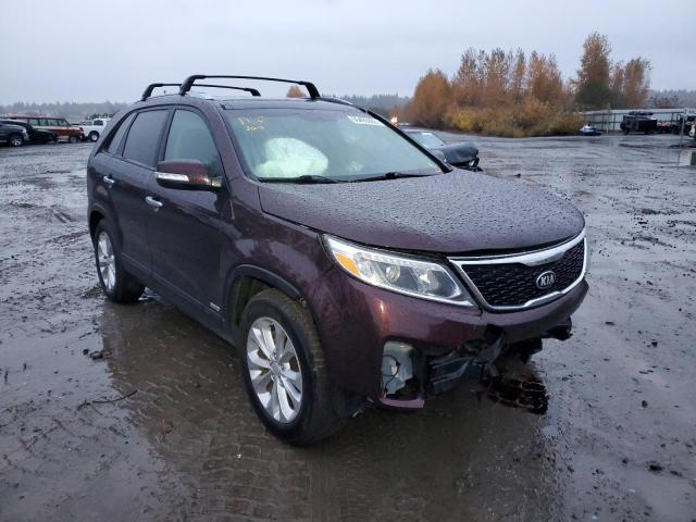 KIA SORENTO EX 2014 with VIN 5XYKUDA79EG503060 - Photo from auction