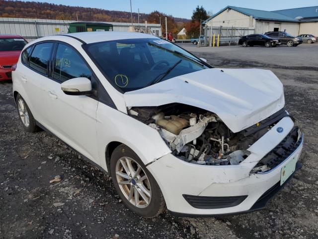 FORD FOCUS SE 2016 with VIN 1FADP3K29GL231023 - Photo from auction