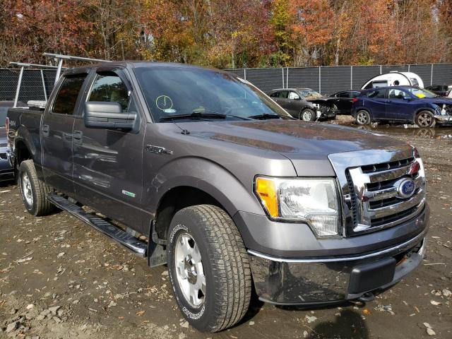 FORD F150 SUPER 2011 with VIN 1FTFW1ET4BKD28756 - Photo from auction