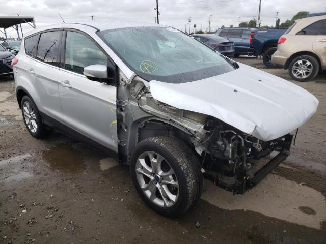 FORD ESCAPE SEL 2013 with VIN 1FMCU0HX7DUA48494 - Photo from auction