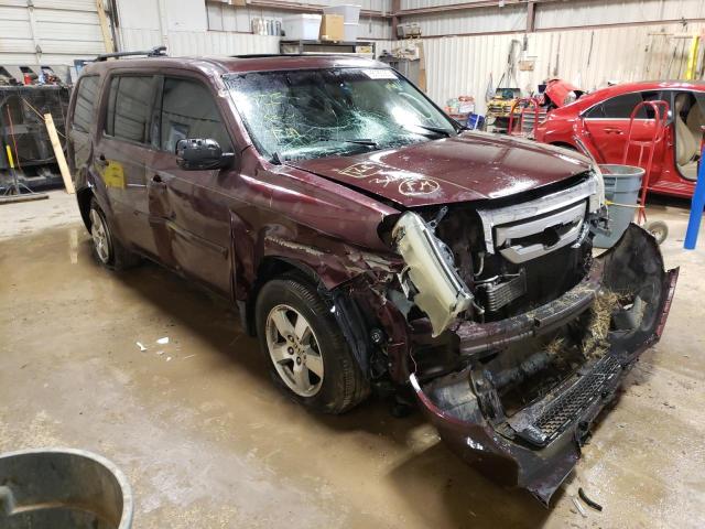 HONDA PILOT EXL 2009 with VIN 5FNYF38609B006486 - Photo from auction