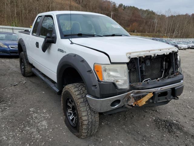FORD F150 SUPER 2010 with VIN 1FTEX1E81AFA66965 - Photo from auction