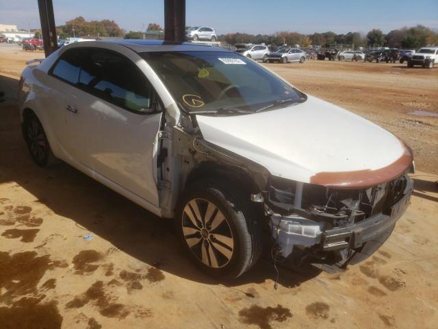 KIA FORTE EX 2013 with VIN KNAFU6A24D5691587 - Photo from auction