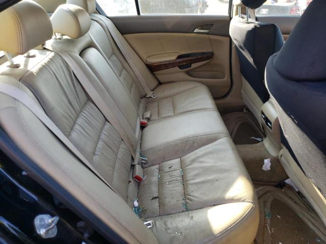 Photo 6 from auction – 2010 HONDA ACCORD EXL with VIN 1HGCP2F83AA138467
