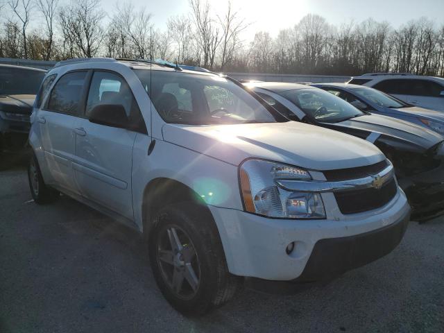 CHEVROLET EQUINOX LT 2005 with VIN 2CNDL73F156153322 - Photo from auction