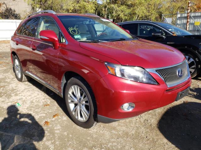 LEXUS RX 450 2010 with VIN JTJBC1BA6A2022373 - Photo from auction