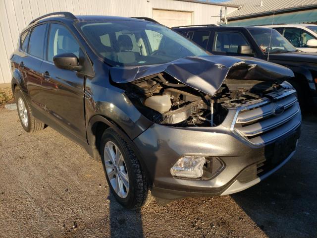 FORD ESCAPE SE 2017 with VIN 1FMCU0GD2HUF03197 - Photo from auction