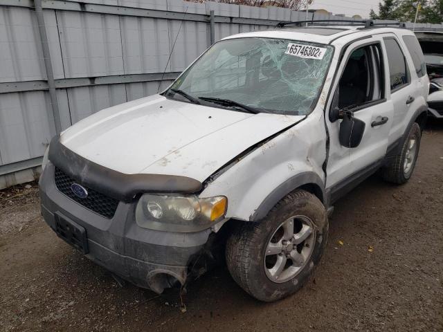 Photo 2 from auction – 2007 FORD ESCAPE XLT with VIN 1FMYU03187KA73705