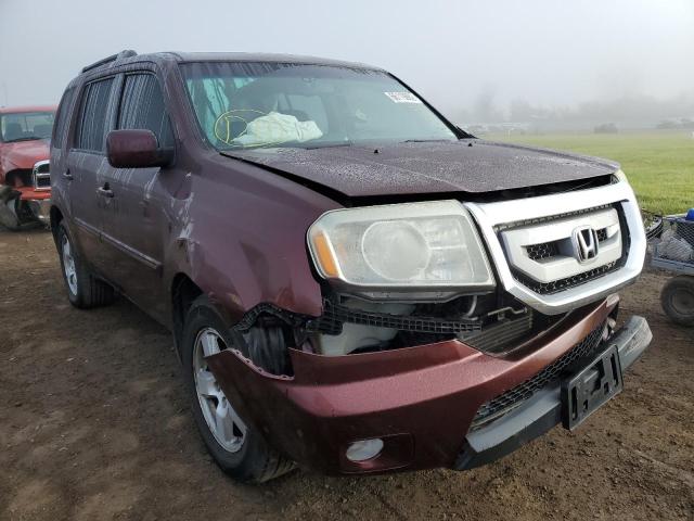 HONDA PILOT EXL 2011 with VIN 5FNYF4H67BB057463 - Photo from auction