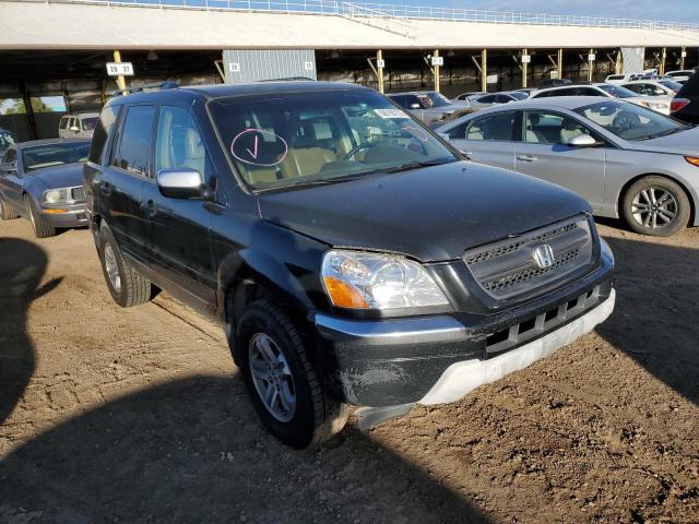 HONDA PILOT EXL 2005 with VIN 2HKYF18595H505679 - Photo from auction