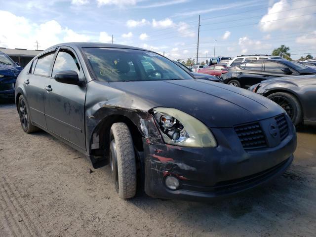 NISSAN MAXIMA SE 2005 with VIN 1N4BA41E15C825595 - Photo from auction