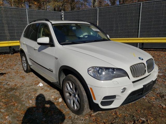 BMW X5 XDRIVE3 2013 with VIN 5UXZV4C5XD0E02011 - Photo from auction