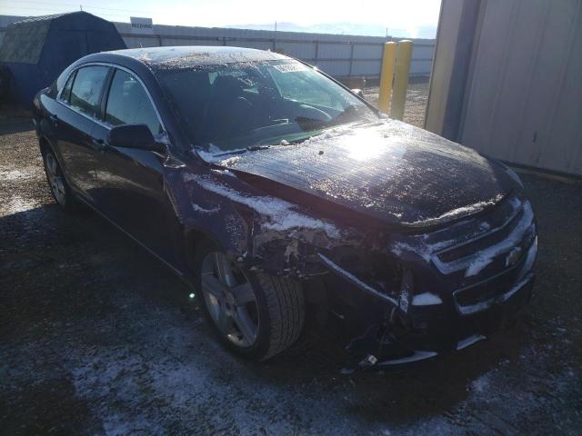 CHEVROLET MALIBU 2LT 2011 with VIN 1G1ZD5EU2BF250482 - Photo from auction