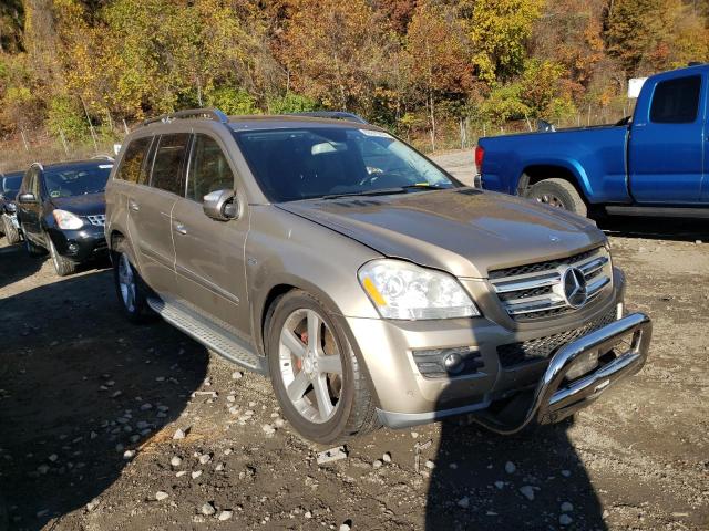MERCEDES-BENZ GL 2009 with VIN 4JGBF25E09A500587 - Photo from auction