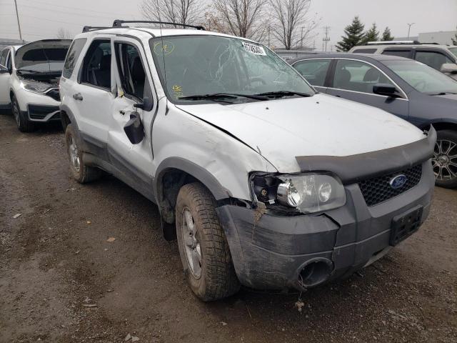 Photo 1 from auction – 2007 FORD ESCAPE XLT with VIN 1FMYU03187KA73705