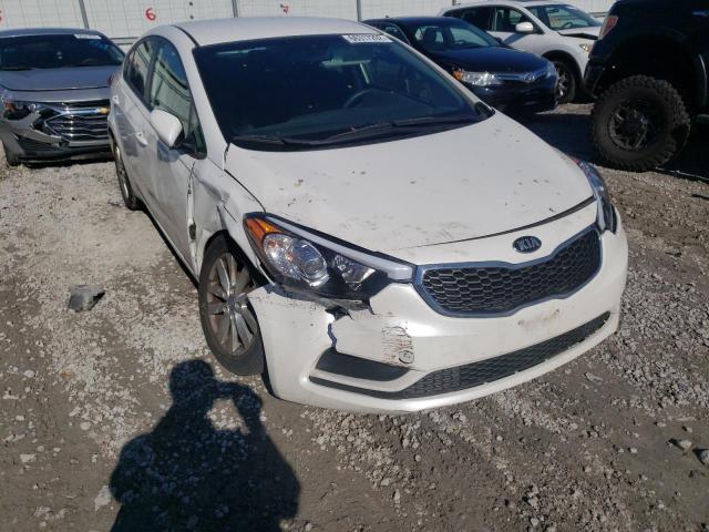 KIA FORTE LX 2016 with VIN KNAFX4A69G5558391 - Photo from auction