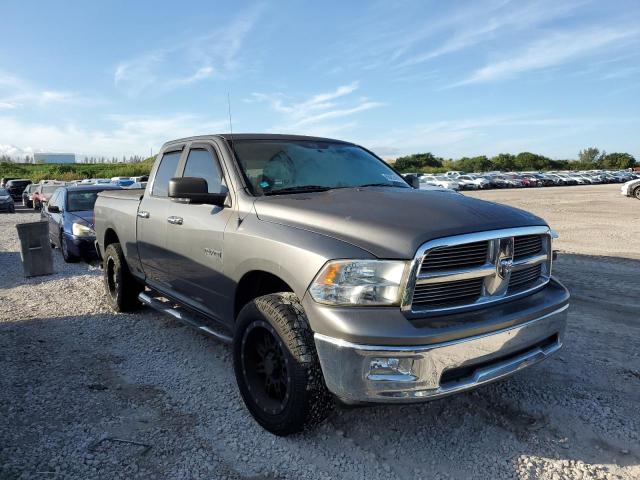 DODGE RAM 1500 2010 with VIN 1D7RV1GP2AS142363 - Photo from auction