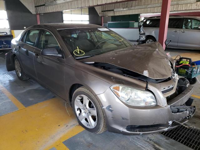 CHEVROLET MALIBU LS 2012 with VIN 1G1ZB5E09CF295519 - Photo from auction