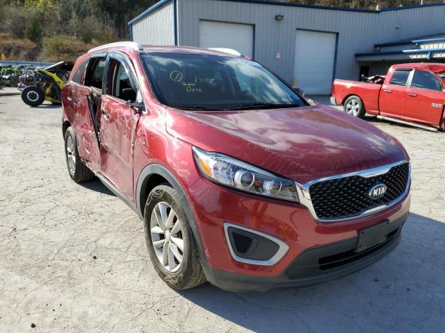 KIA SORENTO LX 2016 with VIN 5XYPGDA35GG087103 - Photo from auction