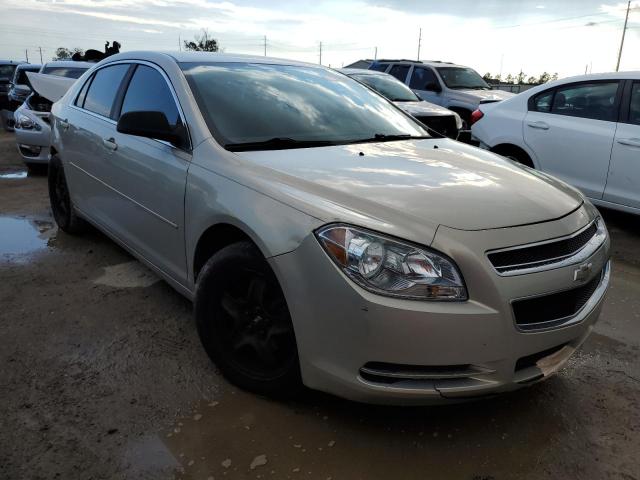 CHEVROLET MALIBU LS 2012 with VIN 1G1ZB5E04CF313019 - Photo from auction