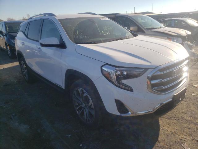 GMC TERRAIN SL 2020 with VIN 3GKALVEV4LL273919 - Photo from auction