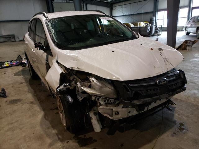 FORD ESCAPE SE 2014 with VIN 1FMCU0G90EUE54069 - Photo from auction