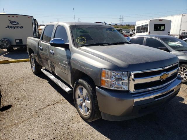 CHEVROLET SILVERADO 2009 with VIN 3GCEC23019G205663 - Photo from auction