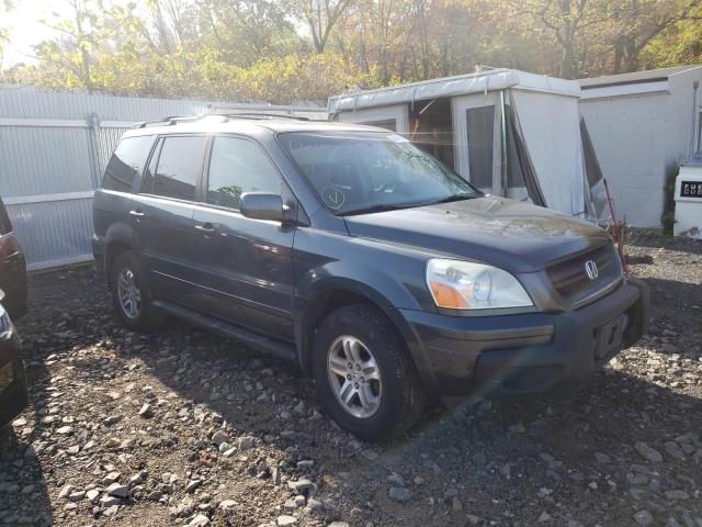 HONDA PILOT EX 2004 with VIN 2HKYF18474H591337 - Photo from auction