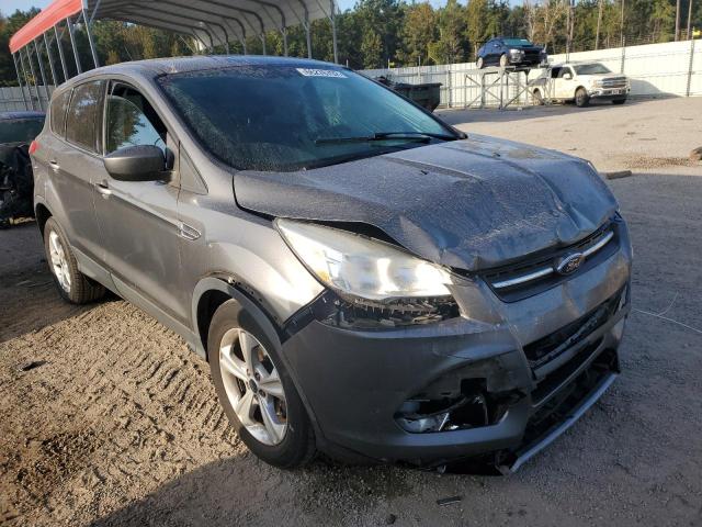 FORD ESCAPE TIT 2014 with VIN 1FMCU0GXXEUB83410 - Photo from auction