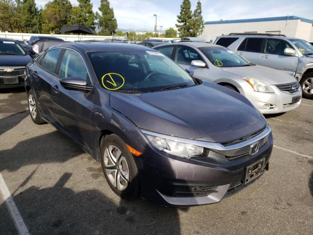 HONDA CIVIC LX 2017 with VIN 2HGFC2F57HH548179 - Photo from auction