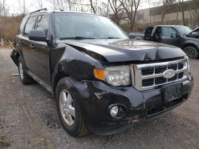 Photo 1 from auction – 2009 FORD ESCAPE XLT with VIN 1FMCU93G09KB53103