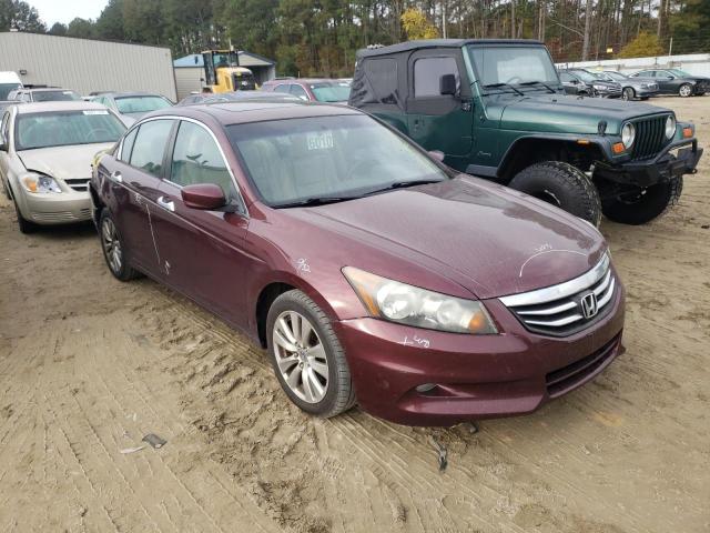 HONDA ACCORD EXL 2011 with VIN 1HGCP3F89BA010225 - Photo from auction