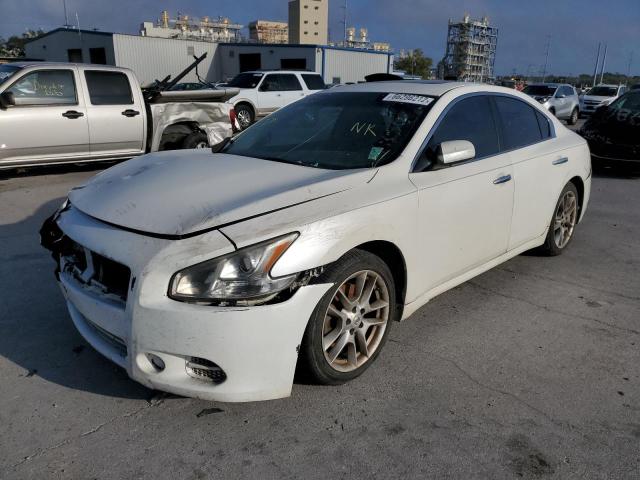 Photo 2 from auction – 2010 NISSAN MAXIMA S with VIN 1N4AA5AP7AC866066
