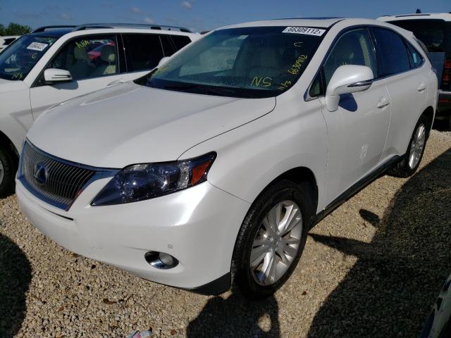 Photo 2 from auction – 2011 LEXUS RX 450 with VIN JTJZB1BA3B2004867