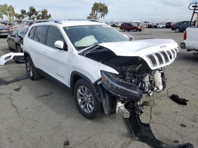 JEEP CHEROKEE L 2019 with VIN 1C4PJLLB2KD262107 - Photo from auction